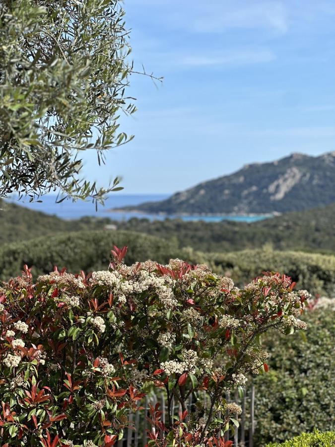 Villa Tres Belle Bergerie Avec Piscine Chauffee A 1 Km De Santa Giulia Porto Vecchio Exterior foto